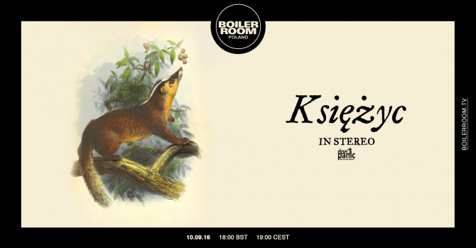 Photo of set Księżyc.