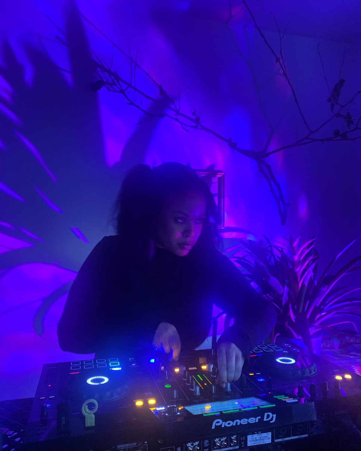 Photo of set BEARCAT.